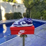 Dunk low court purple Size 40